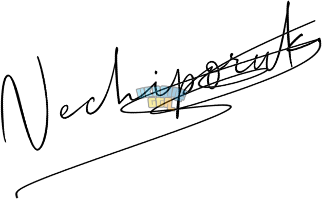OnlineSignatures.net-796-Kostya Nechiporuk.png
