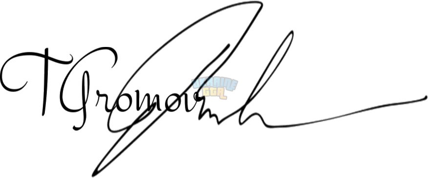 OnlineSignatures.net-959-T Gromov .png