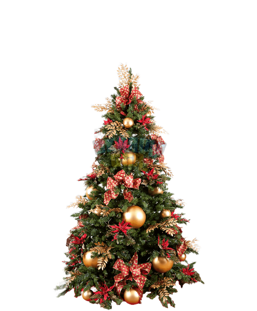 png-clipart-christmas-tree-s-christmas-tree-pictures-christmas-elements.png