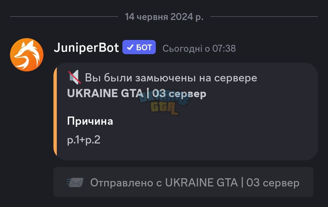 Screenshot_2024-06-14-14-38-36-780-edit_com.discord.jpg