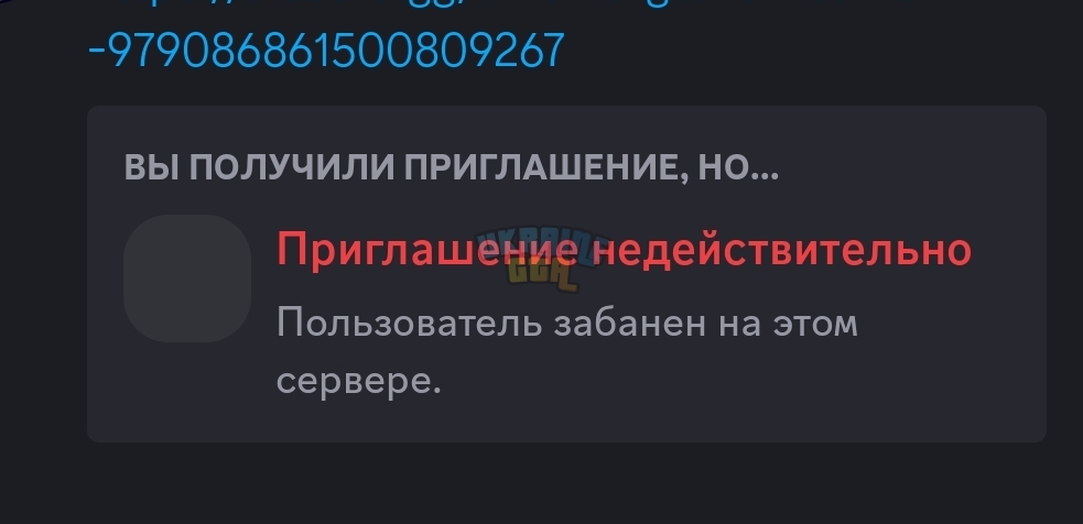 Screenshot_2024-11-26-10-09-20-910_com.discord-edit.jpg