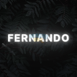 standard_1.gif