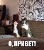 1441533689_pruvit.jpg