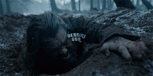 1HaL.gif
