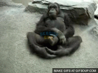 db35e1e7776826a4de04fb7d4d4c9037_w200.gif