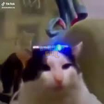 1694178256018.png