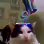 1694260590104.png
