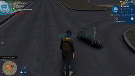 IMG_3304.jpeg