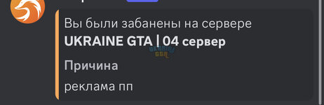 IMG_4480.jpeg