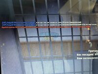 IMG_3455.jpeg