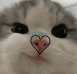 1695741862953.png