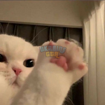 1695757548738.png
