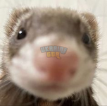 1695829021137.png