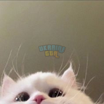 1695829053092.png