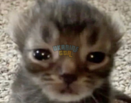 1695847414599.png