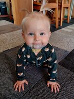 IMG_4447.jpeg