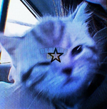 1696511927705.png