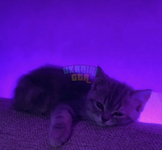 1696511982645.png