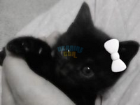 1696805339983.png