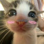 1696805446647.png