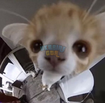 1697321735835.png