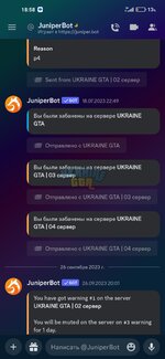 Screenshot_2023-10-17-18-58-20-922_com.discord.jpg
