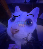1698958479882.png