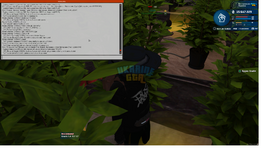 123.png