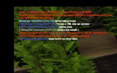 1111111.jpg