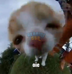 1699399123031.png