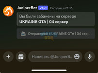 IMG_7110.jpeg