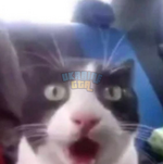 1701296351597.png