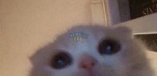 1702075469208.png