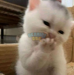 1702075768618.png