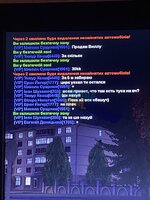 IMG_7252.jpeg