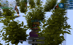 mta-screen_2023-12-14_16-30-12.png
