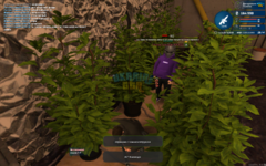 mta-screen_2023-12-14_16-29-11.png