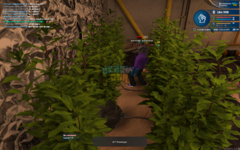 mta-screen_2023-12-14_16-28-01.png