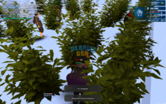 mta-screen_2023-12-14_16-30-12.png