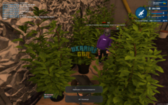 mta-screen_2023-12-14_16-29-11.png