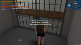 1703172546257.png