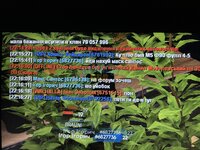 IMG_1934.jpeg