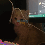 8fcab88b3d529f35ae0d2cff2ef17c76.gif