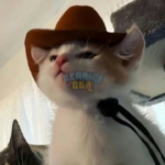 1703898175795.png