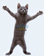 UwPC.gif