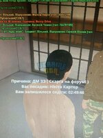 image.jpg