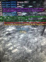 IMG_2887.jpeg