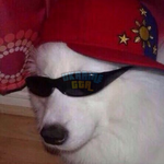 1704673935609.png