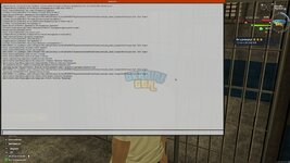 IMG_2357.jpeg