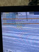IMG_1079.jpeg